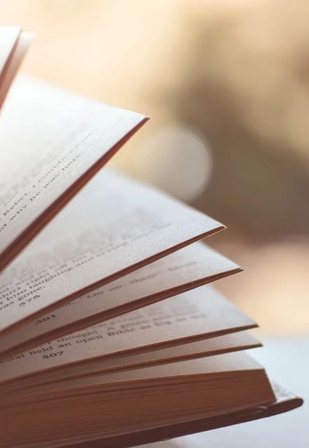 Buchtipp-Platzhaltergrafik